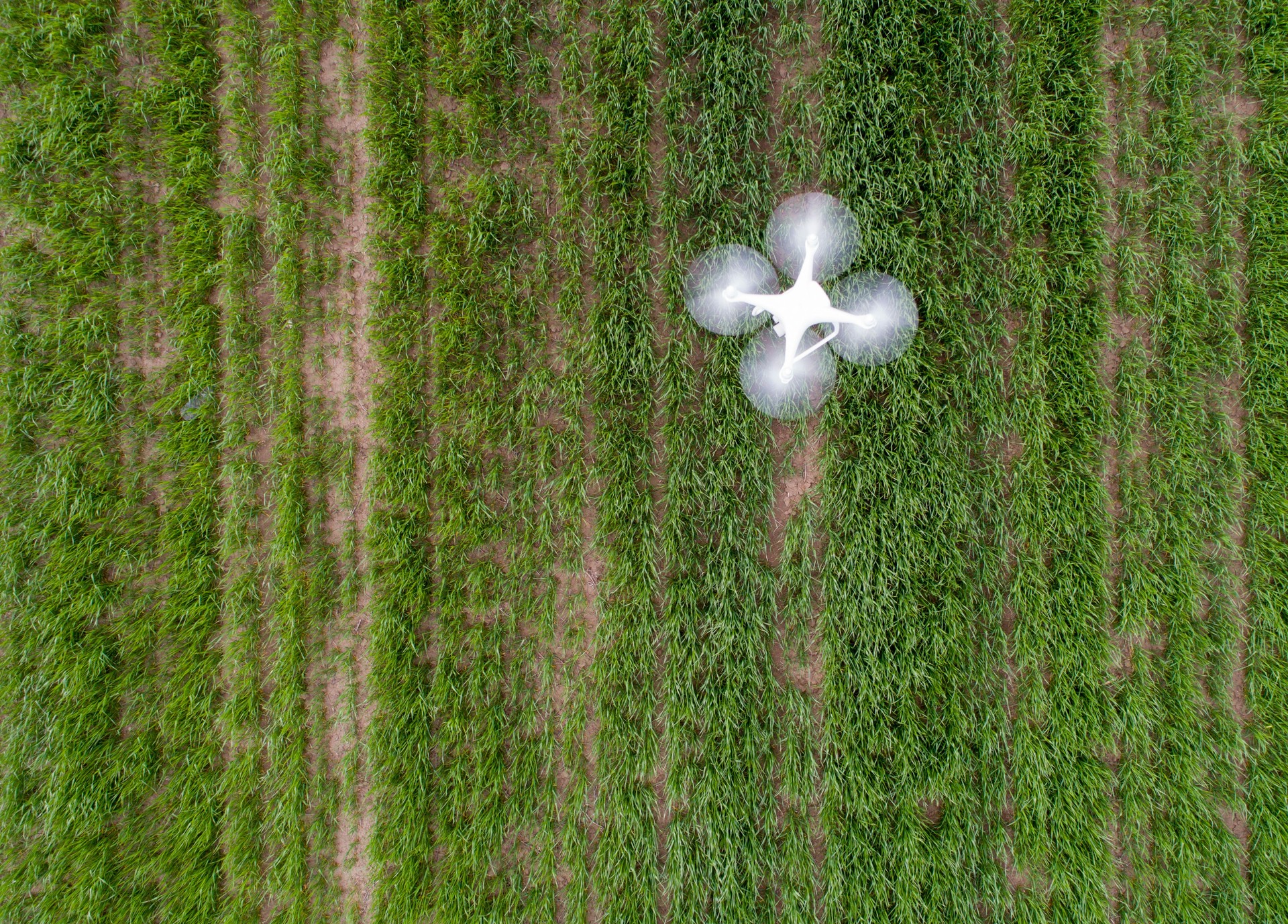 Drone flying above field